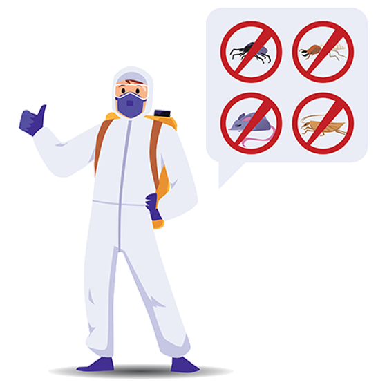 Pest Control and Pest Inspection Professionals Pest Control and Pest Inspection Professionals